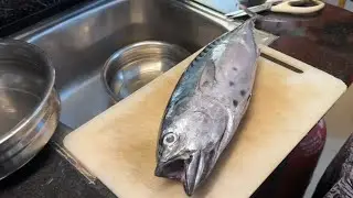 Tuna Fish / சூரை மீன் 🐟 | Cleaning & Cutting |Boneless Piece | This Fish Taste Like Chicken 🍗 