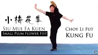 Learn Kung Fu - Choy Li Fut small plum flower (blossom) Siu Mui Fa - Choy Lee Fut Kung Fu forms
