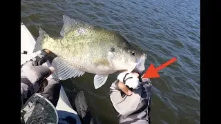 Lake Somerville | Fishing a Broken Pier for Crappie