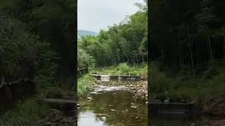 Bamboo Forest Stream 4K Nature Video: sleep, meditation, study, soothing, relaxation, ASMR