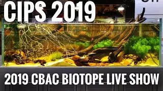 2019 CBAC BIOTOPE LIVE SHOW - CIPS 2019