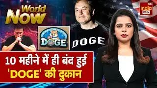 Trump | Dogecoin Future | Elon Musk | Ameria Politics | US Tesla | Cryptocurrency | Memecoin