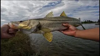 LOTS OF COLD WATER BITES IN THE CAPE CANALS! Cape coral fishing compilation November/December 2025