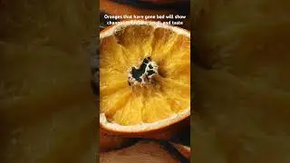 From good to bad , Timelapse of orange. #timelapse #orange #trending
