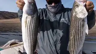 14 fishing trips to remember 2020 BASS BUTCHER FISHING MULTI SPECIES