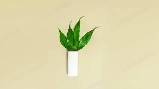 Concept of cosmetics made from natural ingredients. Stop motion animation.