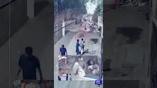 Lion Attack In Lahore | Attacks Family on Lahore Street &ndash; Shocking Incident | Dunya News