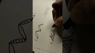 Mandala Art Basic Pattern Ideas. #shorts #shortsfeed #shortvideo #shortsviral  #short #mandala art