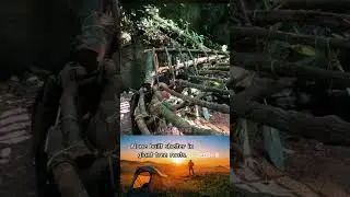 #camping #survival #bamboo1 #bushcraft #campping #camp #setup #outdoors #bamboo #survivalinthewild