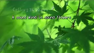 Relaxing Zone 月暦 5/11 Land scape color/ 眺望