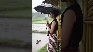 Rainy Day Village Scene | Woman Watching Ducks Swim in the Rice Field 🦆🌧️