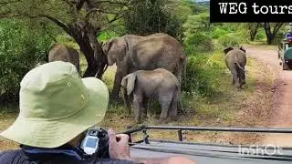 Places To Visit In Meru County