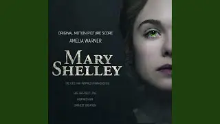 Mary's Decision