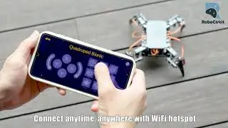 Spider Robot