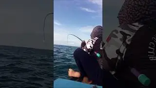 Mantap benar tarikan ikan baronang guys...!