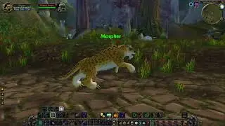 World of Warcraft: Ashenvale: The Howling Vale