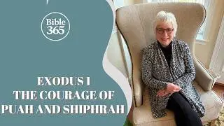 Week 5 | Exodus 1: Puah and Shiphrah disrupt the status quo | Bible365