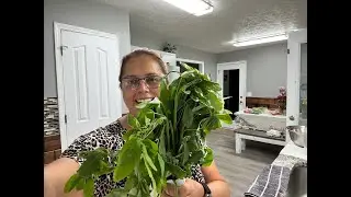 Preparamos una sopita de chipilin