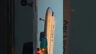 Sun-Kissed Butter Landing ✨ Aer Lingus A320 #shorts