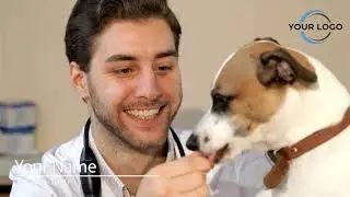 UK Veterinary Clinic Promo video