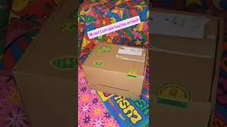 My last #unboxing @LUSH #sale  #bargains Stocking up on the good stuff 💛