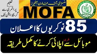 How to apply NJP Ministry Of Foreign Affairs MOFA Jobs 2024 online Application form