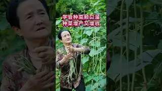 掌握这些种菜技巧，不想高产都难！#种植小技巧 #增产增收才是硬道理 #种植 #fruit #vegetable