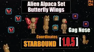 [starbound guide] Alien Alpaca Set, Butterfly Wings, Gag Nose coordinates 1.0