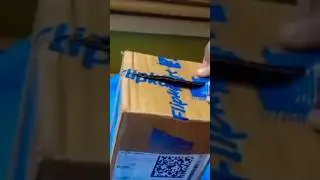 Flipkart Bird parrot unboxing 🦜😜#parrot #shorts