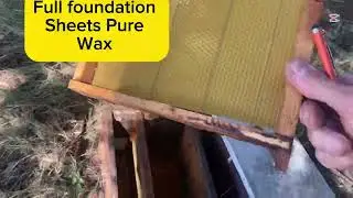 Beekeeper work on the farms