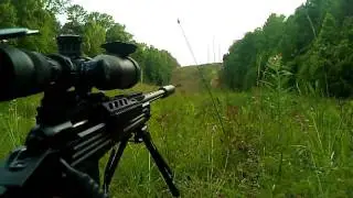 Suppressed Savage 110BA 300 Win Mag