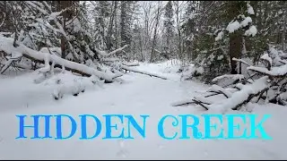 I Found THIS Hidden Winter Forest Creek in Algoma Country| Nature Hike