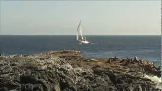 Voyage to the Great Bear Rainforest's North Central Coast