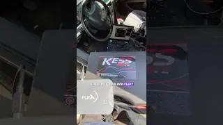 Что лучше? Kess или Flex?