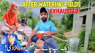 Exhausted After Watering Fields — Watch How Village Tea Brings Us Back to Life! | Village Life Vlog
