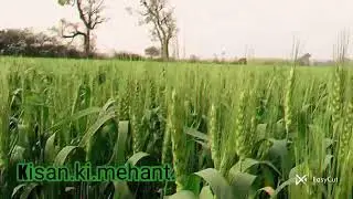 Kisa.ki.mehant.