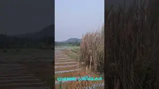 Hope for tomorrow