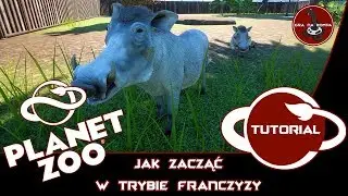 PLANET ZOO TUTORIAL | Jak zacząć w trybie franczyzy