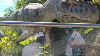 Dinosaur realm in colchester zoo