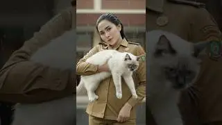 Cat Sounds Behind the Window 1 #shorts #viral #fyp #shortvideo  #cat