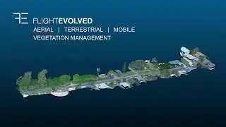 Vegetation Management Solutions