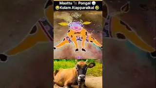 Advance Mattu Pongal frds😅#MattuPongal#cowlove#pongalkolam#2026pongal..