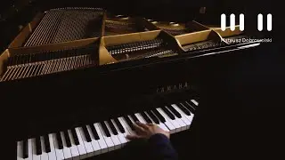 F. Chopin - Waltz in e minor op. posth., Mateusz Dobrowolski