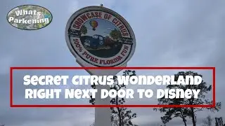 Secret Citrus Wonderland Right Next Door to Disney