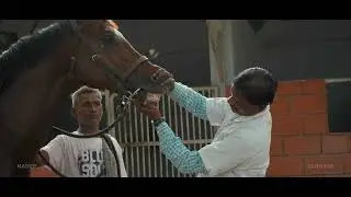Equine Health Management | IDP OF TANUVAS