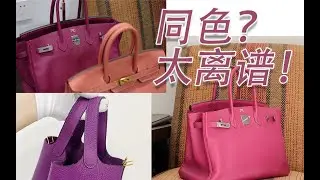 Vlog1294 togo or TC答案揭晓｜它真有可能不是&ldquo;海葵紫&rdquo;