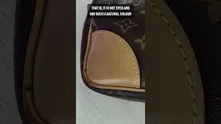 Louis Vuitton Handbag Restoration Requires PROFESSIONAL Dyeing Techniques