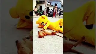 Heart touching 🥰👀✨#video#teddy #shorts #vairalvideo #love
