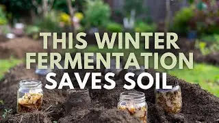 Cold Climate Fermentation - The Winter Trick That Saves Your Soil