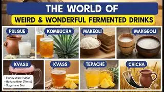Fermented Alcoholic Drinks and Types I Types of Fermented Alcohol Explained | Easy & Clear Guide